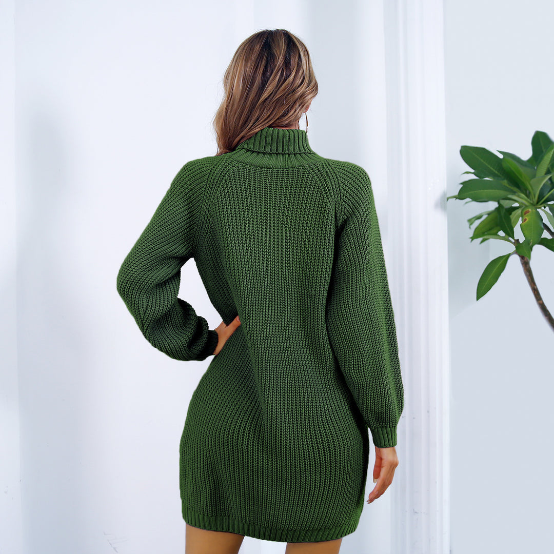 Prouvence™ | Turtleneck Dress